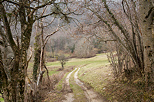 Image d'un chemin rural au pied de la montagne du Vuache à Savigny