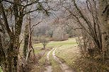 Image d'un chemin rural au pied de la montagne du Vuache  Savigny