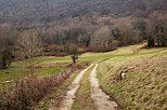 Photographie de l'ambiance d'hiver  travers champs prs de Savigny en Haute Savoie