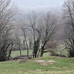 Image of winter trees around Savigny