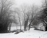 Photograph with dark trees, snow and mist in the french countryside