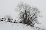 Paysage rural en hiver dans la campagne autour de Savigny en Haute Savoie