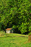 Photo of a little cabin on the forest edge in Haute Marne