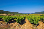 Image de vignes  Collobrires dans le Massif des Maures