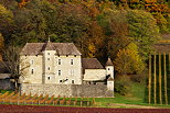 Photographie de l'ambiance d'automne autour du Château de Mécoras dans le vignoble de Savoie