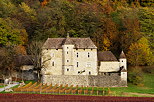 Photo of the autumn in Chautagne vineyard around Mecoras castle