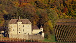 Image of Mecoras castle surrounded with autumn vineyard in France