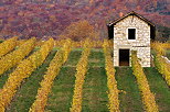 Image of a tiny stone house in the autumn vineyard near Ruffieux, Savoie department