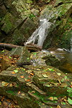 Image de cascade dans un ruisseau du Massif des Maures