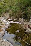 Image de la rivire de la Verne dans le Massif des Maures