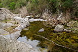 Photographie de la rivire de la Verne dans le Massif des Maures