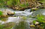 Photo de la rivire de l'Argens dans le Vallon Sourn