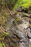 Photo du ruisseau du vallon de Vaubarnier dans le Massif des Maures