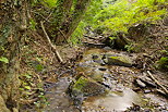 Photographie du ruisseau du vallon de Vaubarnier dans le Massif des Maures