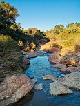 Picture of a winter stream under blue sky in La Plaine des Maures