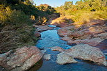 Image d'un ruisseau d'hiver dans la Plaine des Maures au bord du lac des Escarcets