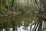 Photo d'une rivire en sous bois au bord du Lac des Escarcets dans la Plaine des Maures