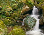 Image de cascades dans les ruisseaux de Saparelle en Haute Corse