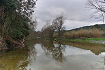 Photo de la rivire du Tagnone en hiver - Haute Corse