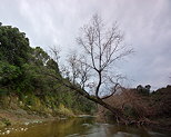 Photographie de la rivire du Tagnone en hiver - Haute Corse