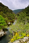 Photo de la rivire de la Verne dans les collines du Massif des Maures