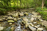 Image du torrent du Fornant prs de Chaumont en Haute Savoie