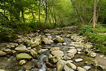 Photographie du torrent du Fornant prs de Chaumont en Haute Savoie