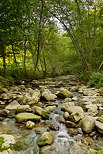 Photographie du torrent du Fornant courant dans les sous bois prs de Chaumont en Haute Savoie