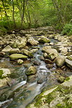 Photo de la rivire du Fornant en sous bois autour de Chaumont en Haute Savoie