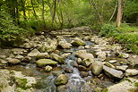 Photo du torrent du Fornant dans les sous bois autour de Chaumont en Haute Savoie