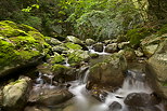 Image de petites cascades dans le torrent du Fornant en Haute Savoie