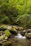 Photo de petites chutes d'eau dans le torrent du Fornant en Haute Savoie