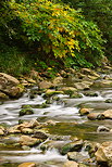 Photo des couleurs d'automne sur les bords de la rivire des Usses