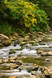 Photo of rocks, water and first autumn colors in Usses river