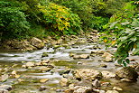 Photo de l'automne le long de la rivire des Usses