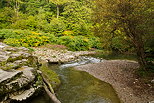 Image des bords de la rivire des Usses en dbut d'automne