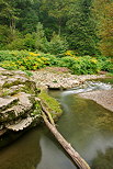 Photographie des berges de la rivire des Usses au dbut de l'automne