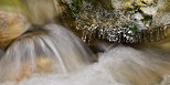 Photos de glaons au bord d'une petite cascade dans la rivire du Fornant en Haute Savoie