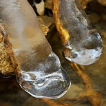 Photo de glaons dans le ruisseau du Fornant en Haute Savoie