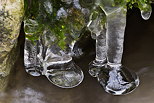 Photo de stalactites de glace dans la rivire du Fornant en Haute Savoie