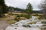 Image de la valle du Bonheur dans le Parc National des Cvennes