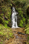 Photographie d'une petite cascade de printemps dans un ruisseau du Parc National des Cvennes