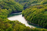 Photo de la valle du Rhne  travers la fort de printemps prs d'Arcine en Haute Savoie