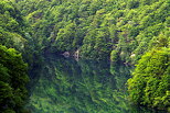 Photographie de reflets de fort dans le Rhne