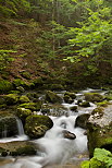 Image de petites chutes d'eau dans la rivire de la Valserine