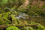 Photo du lit de la rivire de la Valserine dans les montagnes du Parc Naturel Rgional du Haut Jura