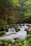 Photo de petites cascades de printemps dans la rivire de la Valserine