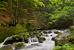 Photo de petites cascades dans la rivire de la Valserine dans le Parc Naturel Rgional du Haut Jura