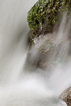 Photographie d'un rocher recouvert de mousse baign par les eaux vives du Fornant