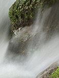Photo d'une pierre recouverte de mousse et entoure par les eaux vives du torrent du Fornant